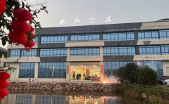 匠心质量品牌闪烁！林秋家具登岸央视展播品牌